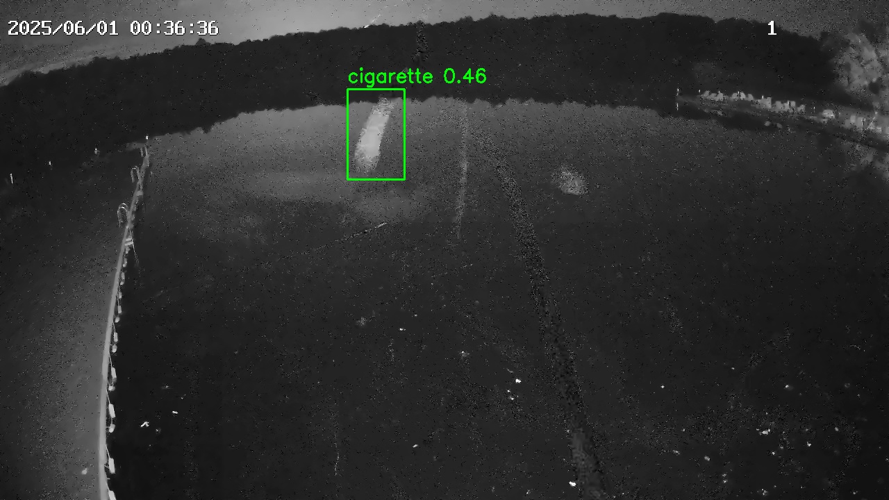 Фото детекции