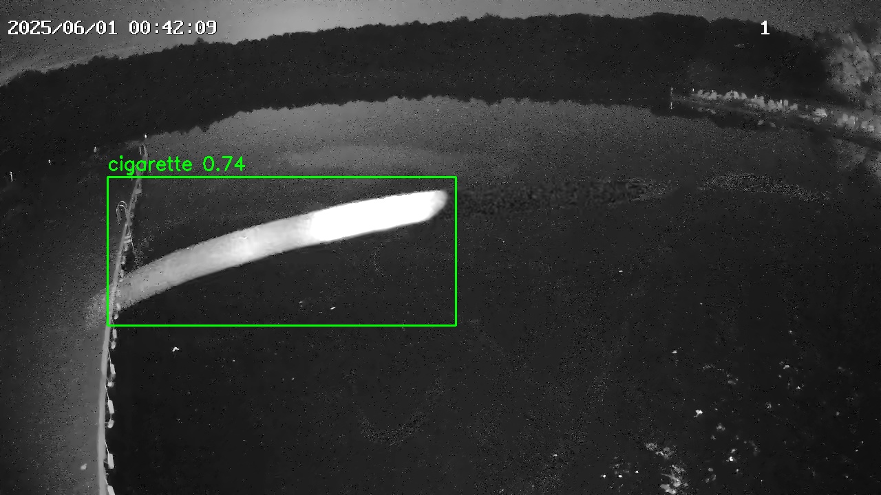 Фото детекции