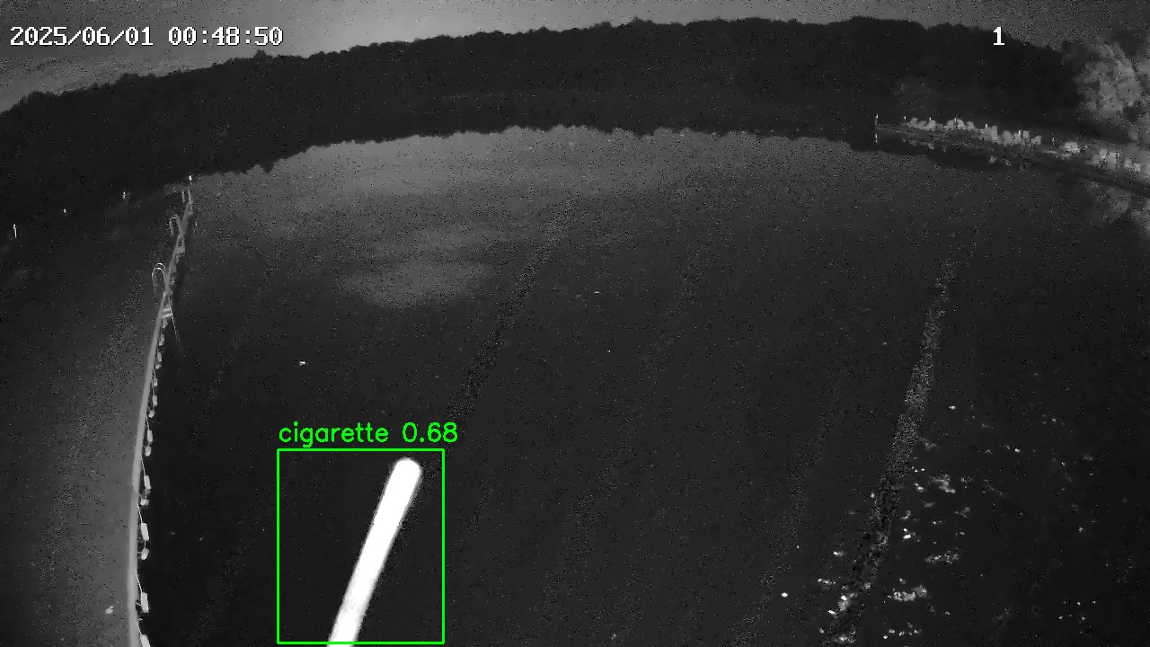 Фото детекции