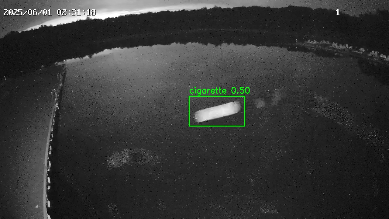 Фото детекции