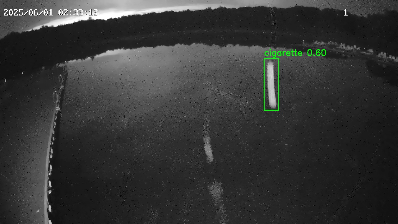 Фото детекции