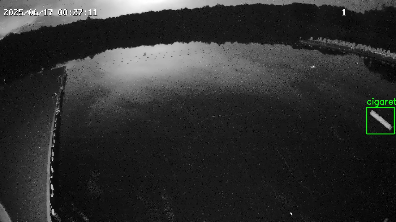 Фото детекции