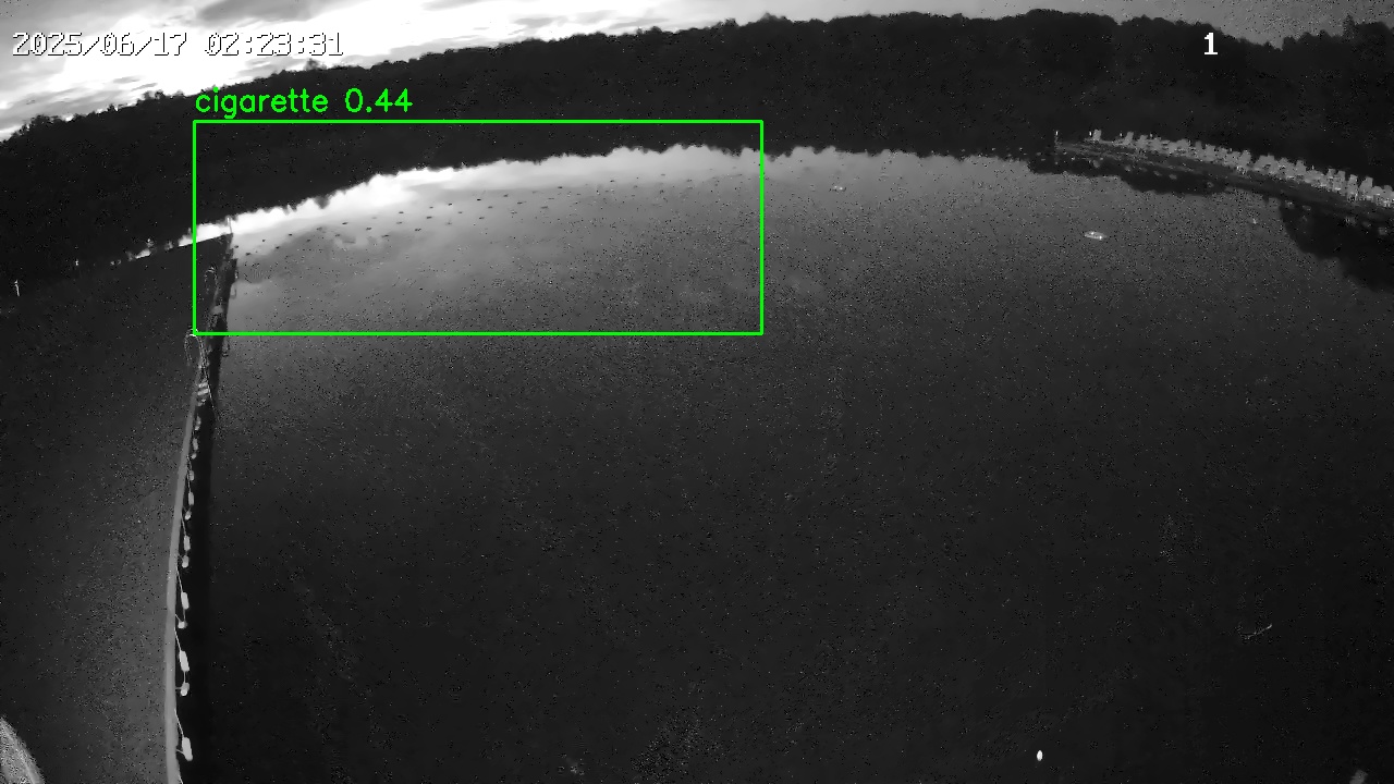 Фото детекции