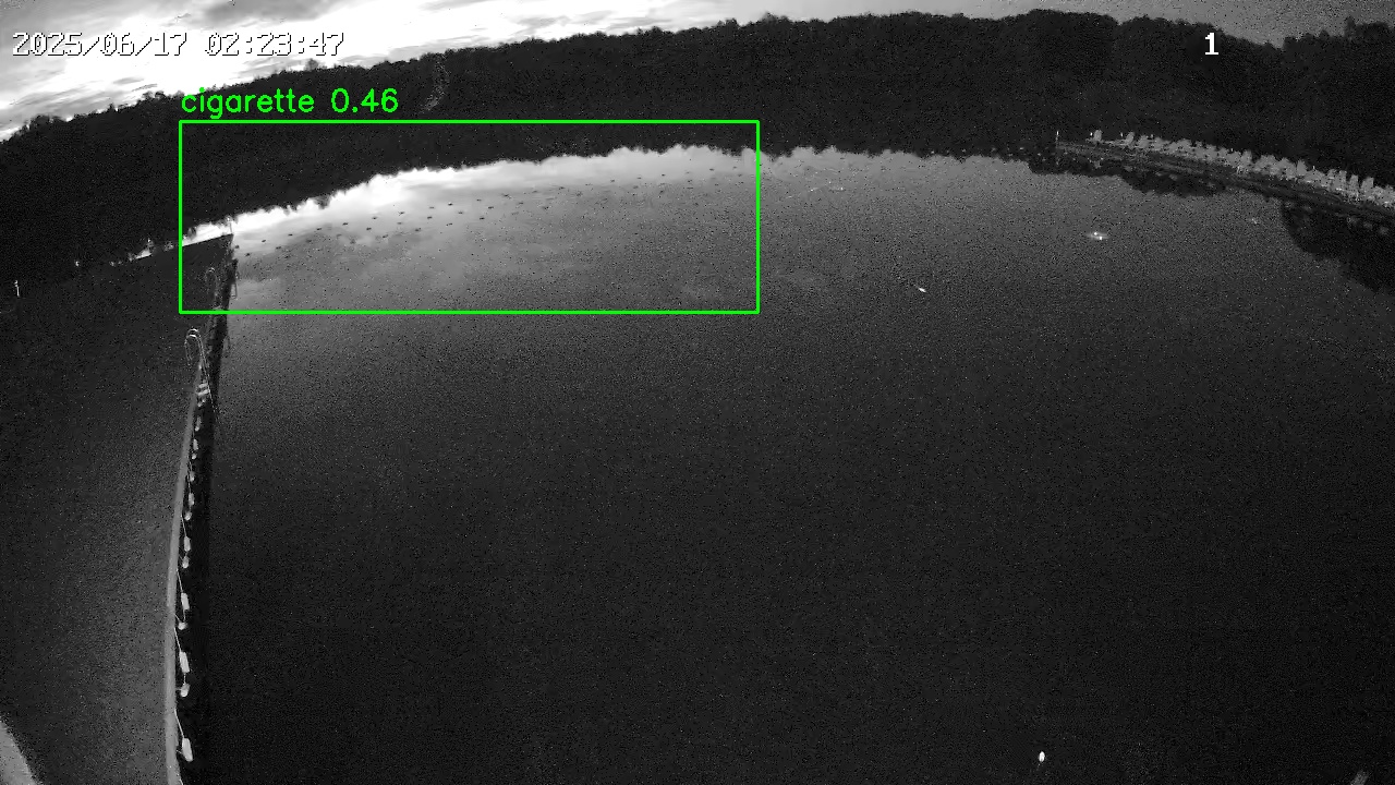 Фото детекции