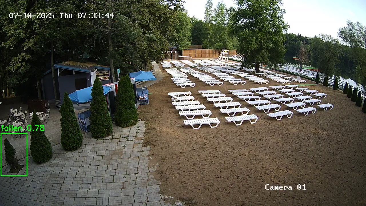 Фото детекции