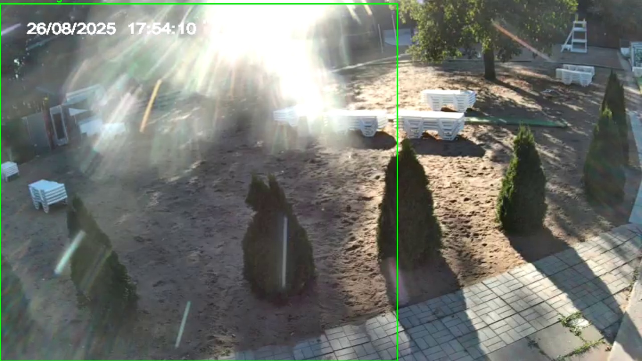 Фото детекции